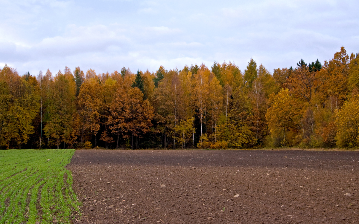 What Is Iowa Land Worth in 2026? A Look at Values Across the State